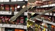Sydney Woman Spots 3-Metre Long Python in Spice Section of Supermarket, Grabs and Releases It Into Bush (Watch Video)