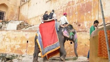 Business News | Retire Elephants from Rides at Amer Fort in Jaipur, Says World Animal Protection