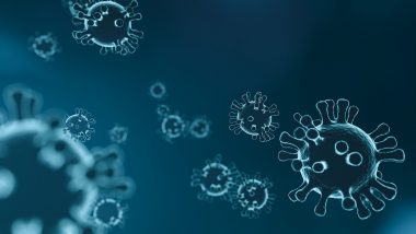 Langya Henipavirus Hits China, 35 People Infected: Report