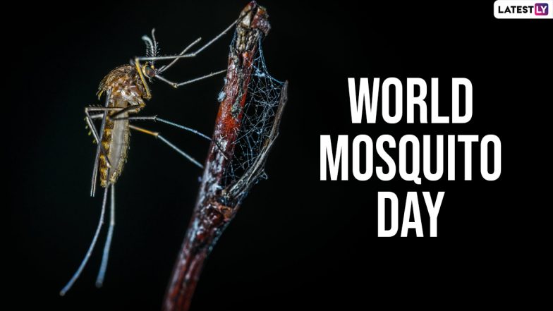 World Mosquito Day 2021: Netizens Share Precautionary Posts, Messages and Slogans To Deal With Mosquito Bites