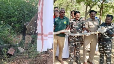 Sridhar Vembu, CEO of Zoho Corporation, Encounters 12-Foot-Long King Cobra In Tamil Nadu Village