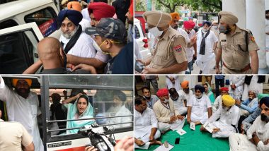 Farmers' Protest in Delhi: SAD Chief Sukhbir Singh Badal, Harsimrat Kaur Detained Over Farm Law Agitation