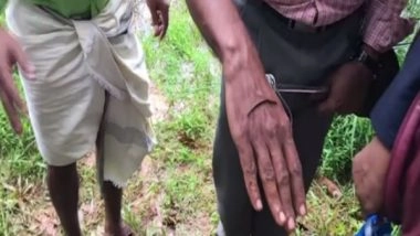 India News | Farmers in Kerala's Kozhikode Village Troubled with Leech Infestation in Paddy Fields