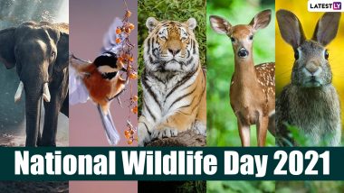 National Wildlife Day 2021: 14 Fun Facts To Know About Birds, Animals and Amphibians That Are Truly Mind-Blowing!