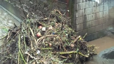 India News | Incessant Rainfall, Cloudburst Damages Crops in Himachal Pradesh