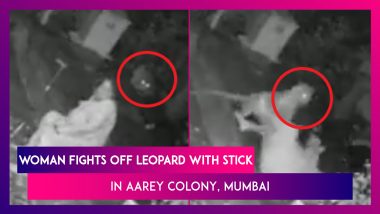Leopard Attack: Woman Fights Off Spotted Cat With Stick In Aarey Colony, Mumbai
