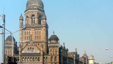 Marriage Registration Service Temporarily Stopped in Mumbai Due to COVID-19; Exploring Provision of Video KYC Option, Says BMC