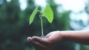 Science News | Researchers Develop New Chemical That Gets Reluctant Seeds to Sprout