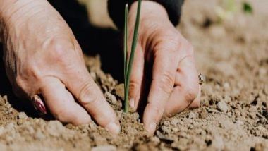 Science News | New Chemical Discovery Gets Reluctant Seeds to Sprout