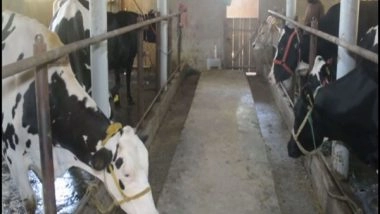 India News | J-K Govt's Dairy Scheme Generates Self-employment Opportunities in Anantnag