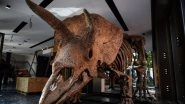 Dinosaur Skeleton of Largest Triceratops &lsquo;Big John&rsquo; Discovered by Paleontologists, Likely To Fetch $1.77 in Paris