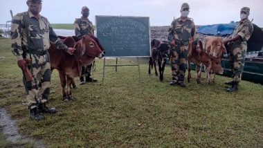 India News | BSF Rescues 95 Cattle Heads from Border Districts of West Bengal, Assam
