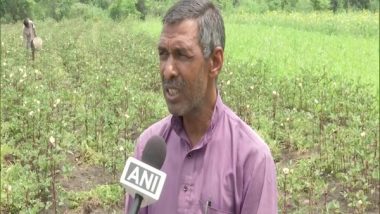 Red Ladyfinger Grown by Bhopal-based Farmer, Fetches Around Rs 800 Per Kg