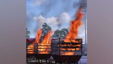 India News | Assam Govt Burns Around 2,500 Rhino Horns to Mark World Rhino Day