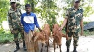 India News | BSF Nabs Two Bangladeshi Cattle Smugglers in West Bengal's Malda