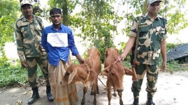India News | BSF Nabs Two Bangladeshi Cattle Smugglers in West Bengal's Malda
