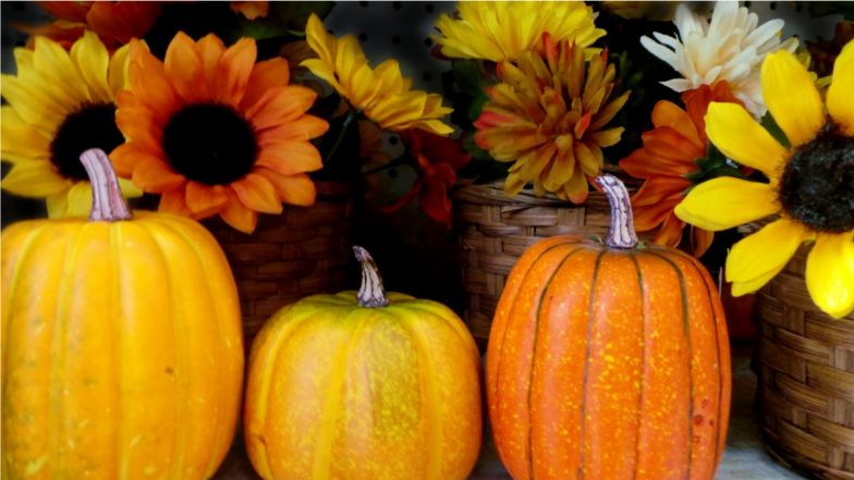 Fall 2021 Decoration Ideas: From Pumpkins to Flower Pots, Here's How You Can Decorate Your Home This Fall