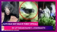 Sloth Bear Shot Dead By Forest Department Officials In Uttarakhand's Joshimath
