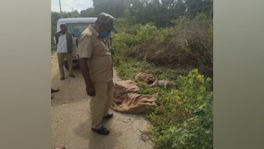 Karnataka Shocker: 20 Monkeys Allegedly Poisoned to Death in Kolar, Probe Ordered