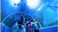 Business News | Underwater Tunnel, VGP Marine Kingdom Becomes Largest Walk-through Aquarium in India