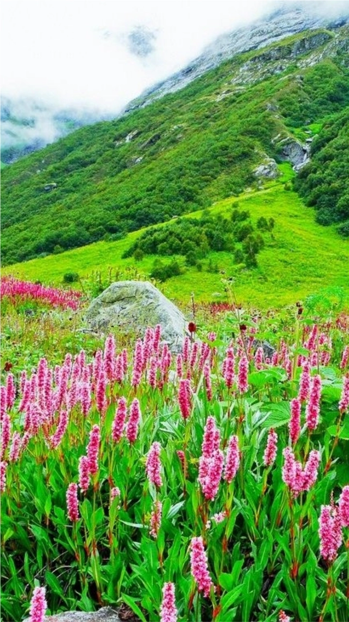 Uttarakhand Tourism: Temples, Lakes, Wildlife Sanctuaries &ndash; 24 Popular Destinations That Are Must Visit