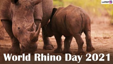 World Rhino Day 2021: Netizens Share Quotes, Messages and Images to Raise Awareness About the Species and Their Conservation