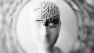 Science News | New Research Finds How Associative Memories Are Formed