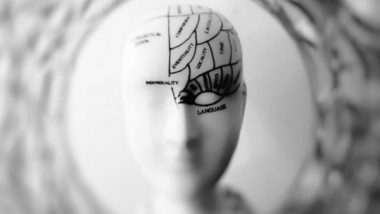 Science News | New Research Finds How Associative Memories Are Formed