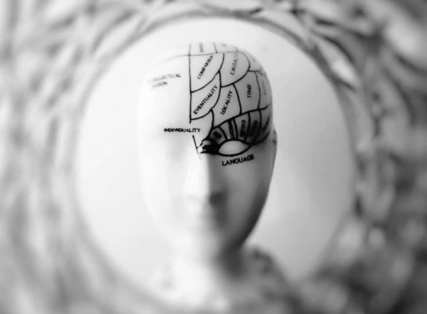 Science News | New Research Finds How Associative Memories Are Formed