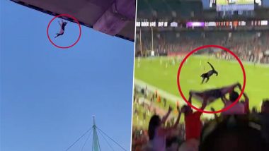 Florida Football Fans Use USA Flag To Rescue Cat Falling From Stands (Watch Video)