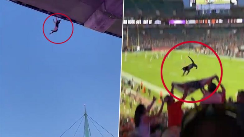 Florida Football Fans Use USA Flag To Rescue Cat Falling From Stands (Watch Video)