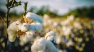 US Ban on Cotton Import From China&rsquo;s Xinjiang Region Provides Opportunities for Indian Cotton Garments: AEPC