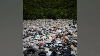 Science News | Study Aims to Aid Future of Plastic Waste Chemical Recycling