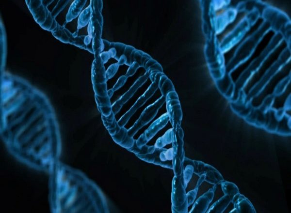 Ancient DNA Solves Mystery of 14th-Century Black Death Pandemic That Killed Over 50 Million People, Say Researchers