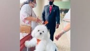 India News | Dog Owner Books Air India Flight's Entire Business Class Cabin for Her Pet