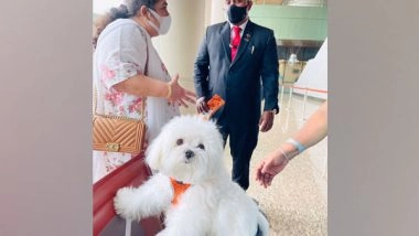 India News | Dog Owner Books Air India Flight's Entire Business Class Cabin for Her Pet