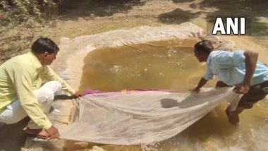 India News | Gambusia Fish Released in Moradabad Ponds to Curb Dengue