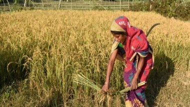 Business News | Tata-Cornell Institute Launches Hub to Empower Smallholder Farmers