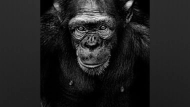 Science News | Prehistoric Primates Had a Sweet Tooth: Study