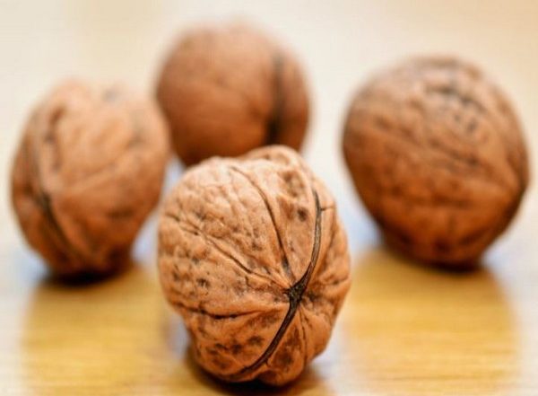 Consuming Walnuts Daily Lowers 'Bad' Cholesterol Levels: Study