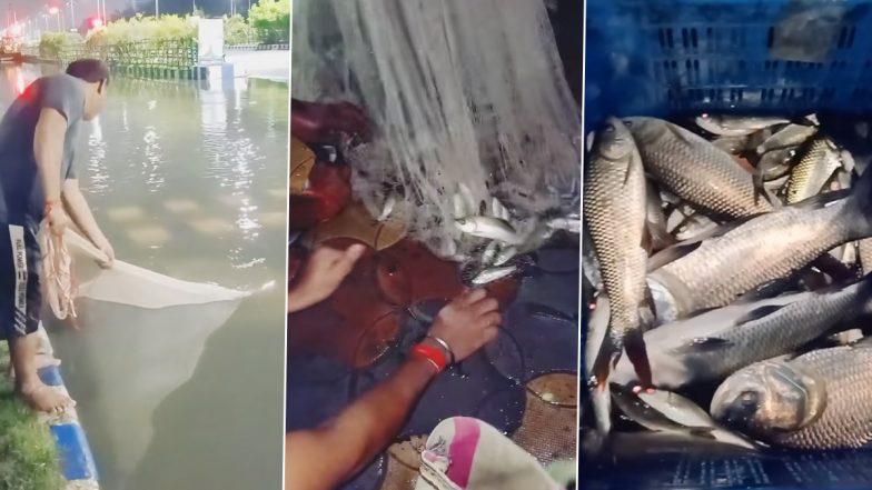 Kolkata Rains: 15 kg Catla Fish Found in Waterlogged Streets of Newtown (Watch Video)