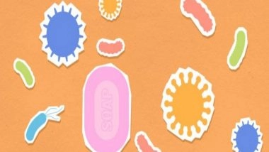 Science News | Study Finds How Resistant Germs Transport Toxins at Molecular Level