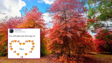 First Day of Fall 2021 Wishes & HD Images: Twitterati Excited As Autumn Equinox Begins, Share Funny Quotes, GIFs, Greetings and Messages to Celebrate!