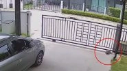 Pet Tortoise&rsquo;s Daring Attempt To Escape by Opening Metal Slider Gate Will Leave You Shell-Shocked (Watch Video)