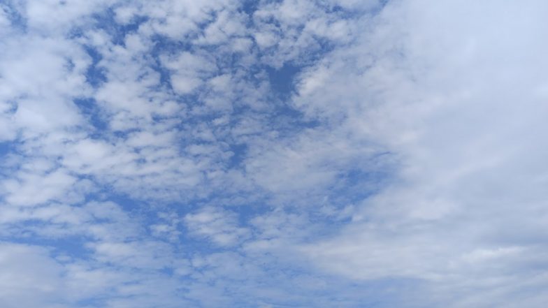 Blue Skies All Over Delhi! Check Out How Citizens Cherish the Natural Daylight Without Any Smog or Pollution Post Days of Rain