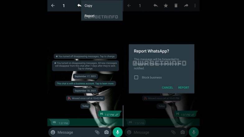 WhatsApp Report Specific Message Feature