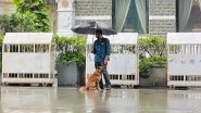 Ratan Tata Shares Picture Of Taj Employee Sharing Umbrella With Stray Dog During Heavy Rainfall in Mumbai, Calls It 'Heartwarming Moment'