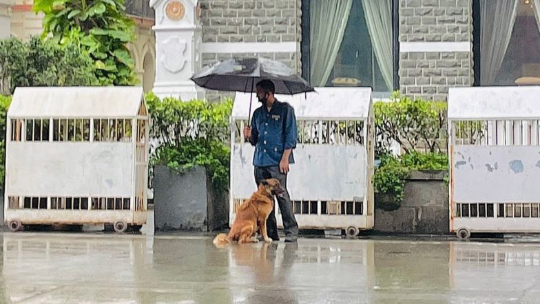 Ratan Tata Shares Picture Of Taj Employee Sharing Umbrella With Stray Dog During Heavy Rainfall in Mumbai, Calls It 'Heartwarming Moment'