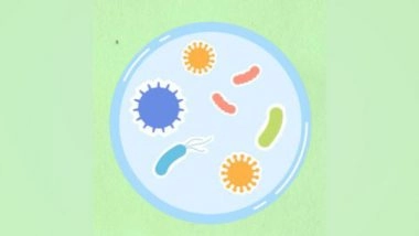 Science News | How Toxins Are Transported at Molecular Level by Resistant Germs: Study