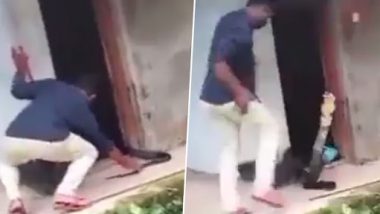 Cobra Takes a U-Turn! Huge Snake Strikes Back at Man Holding Its Tail Trying To Pull It Out From Room, Video Goes Viral